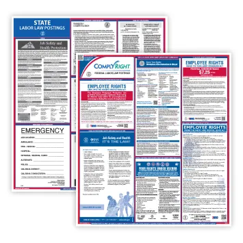 Federal & State Poster Set